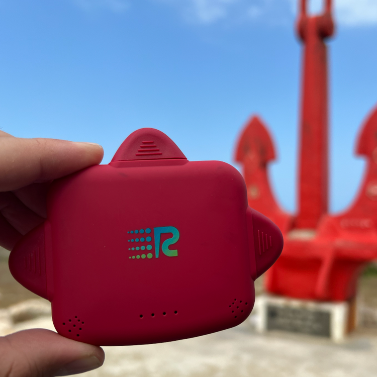 RC Universe 3 in 1 Charger Cherry Red