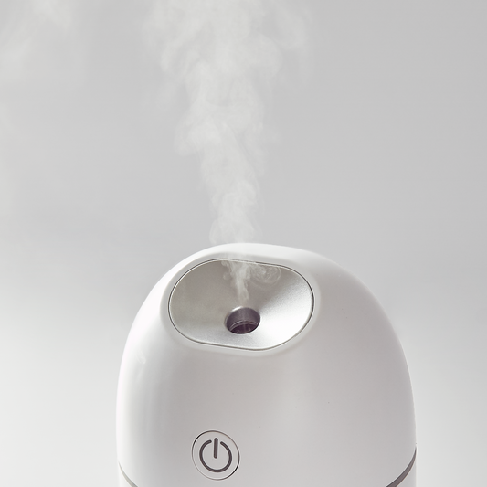 Hey Dewy Portable Facial Humidifier - Pearl White