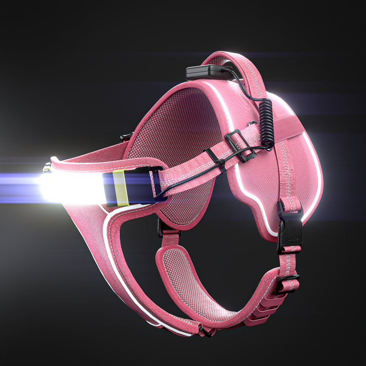 Lumi One Harness - Pink