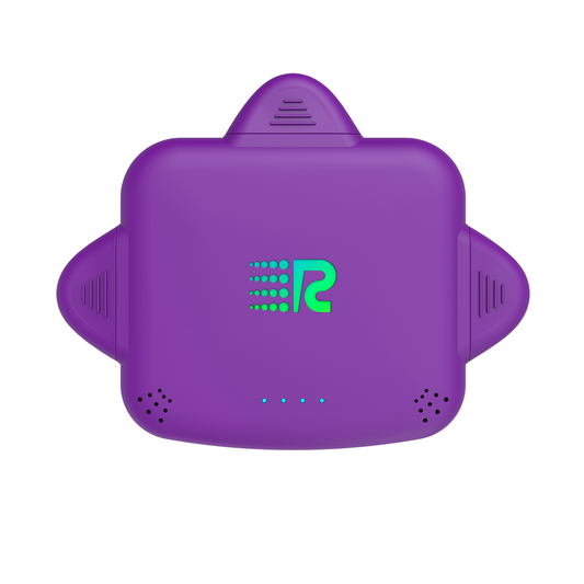 RC Universe 3-in-1 Charger