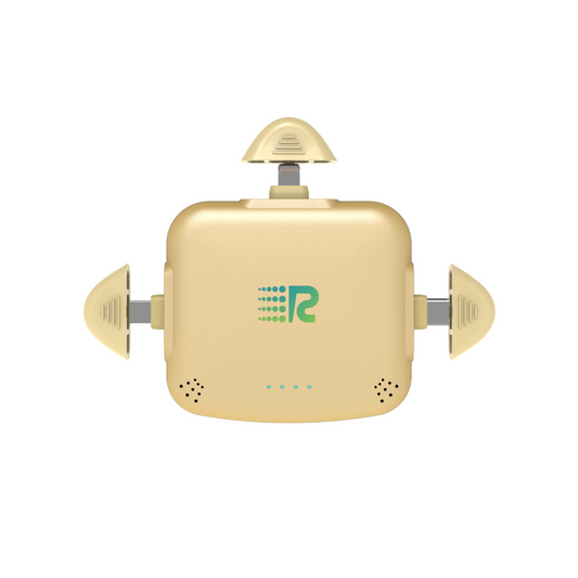 RC Universe 3 in 1 Charger (Metallic Gold)