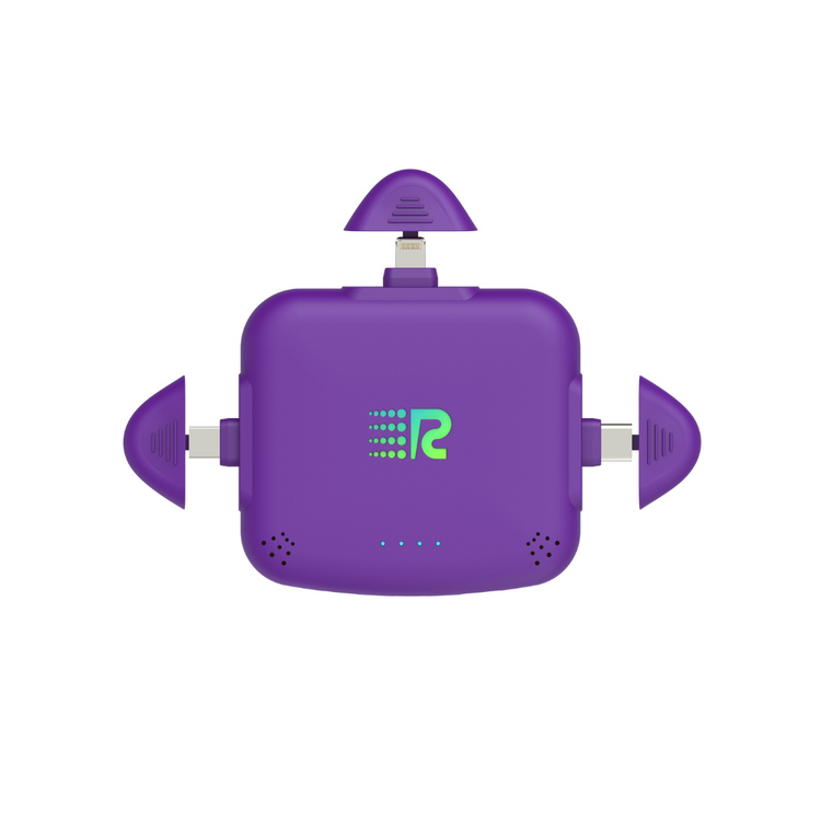 RC Universe 3 in 1 Charger (Deep Purple)