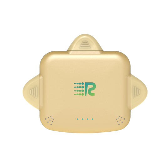 RC Universe 3 in 1 Charger (Metallic Gold)