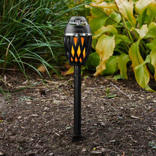 Bluetooth Speaker & Ambient Light Bundle with Pole & Ground Stake 2-Pack